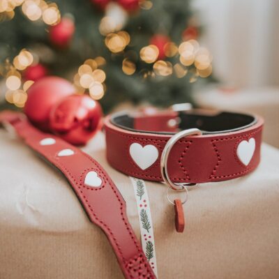 leren halsband liefde