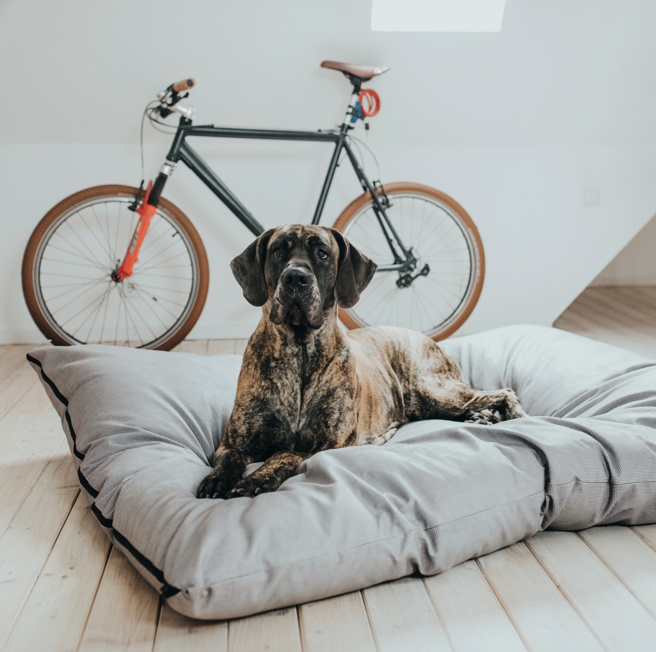 Hondenkussen Groot XXL (175 x 145 CM) 10 Hondenkussen Groot XXL (175 x 145 CM) - Afbeelding 10