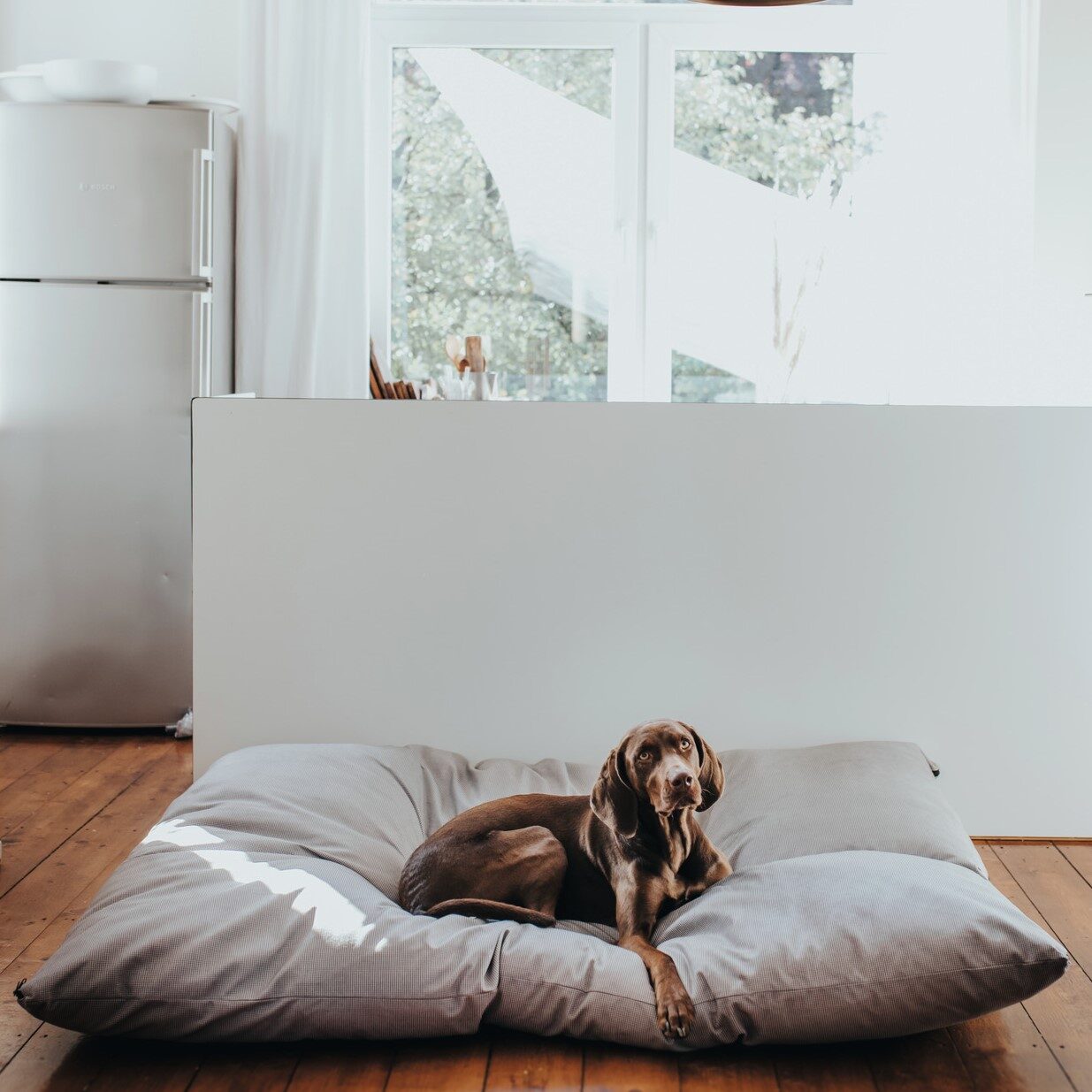 Hondenkussen Groot XXL (175 x 145 CM) 12 Hondenkussen Groot XXL (175 x 145 CM) - Afbeelding 12