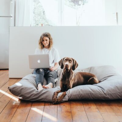 Home 25 HUNTER 16935 67650 013 live 19 lpr