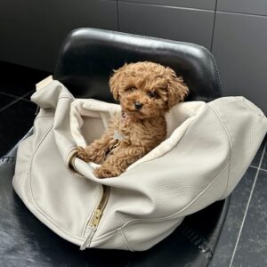Leren Hondendraagzak Beige