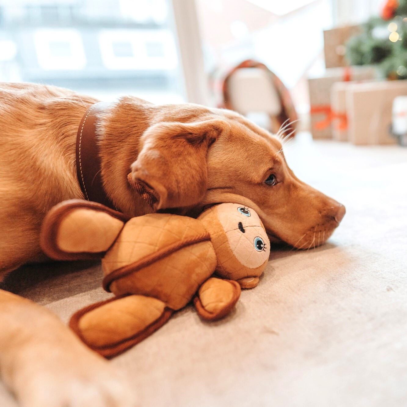 Hondenknuffel Sterke Aap 4 Hondenknuffel Sterke Aap - Afbeelding 4