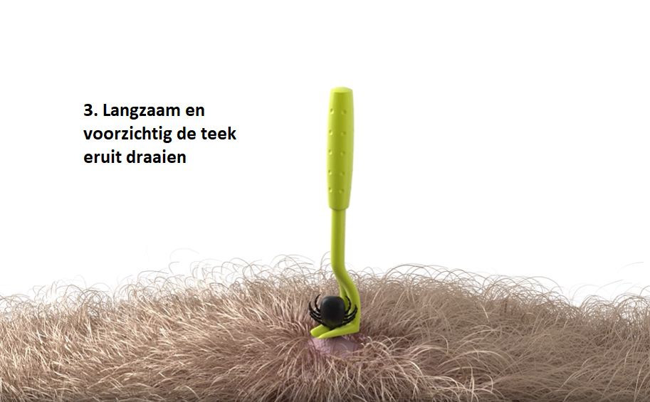 Tekenhaak Set (2 stuks) 5 Tekenhaak Set (2 stuks) - Afbeelding 5