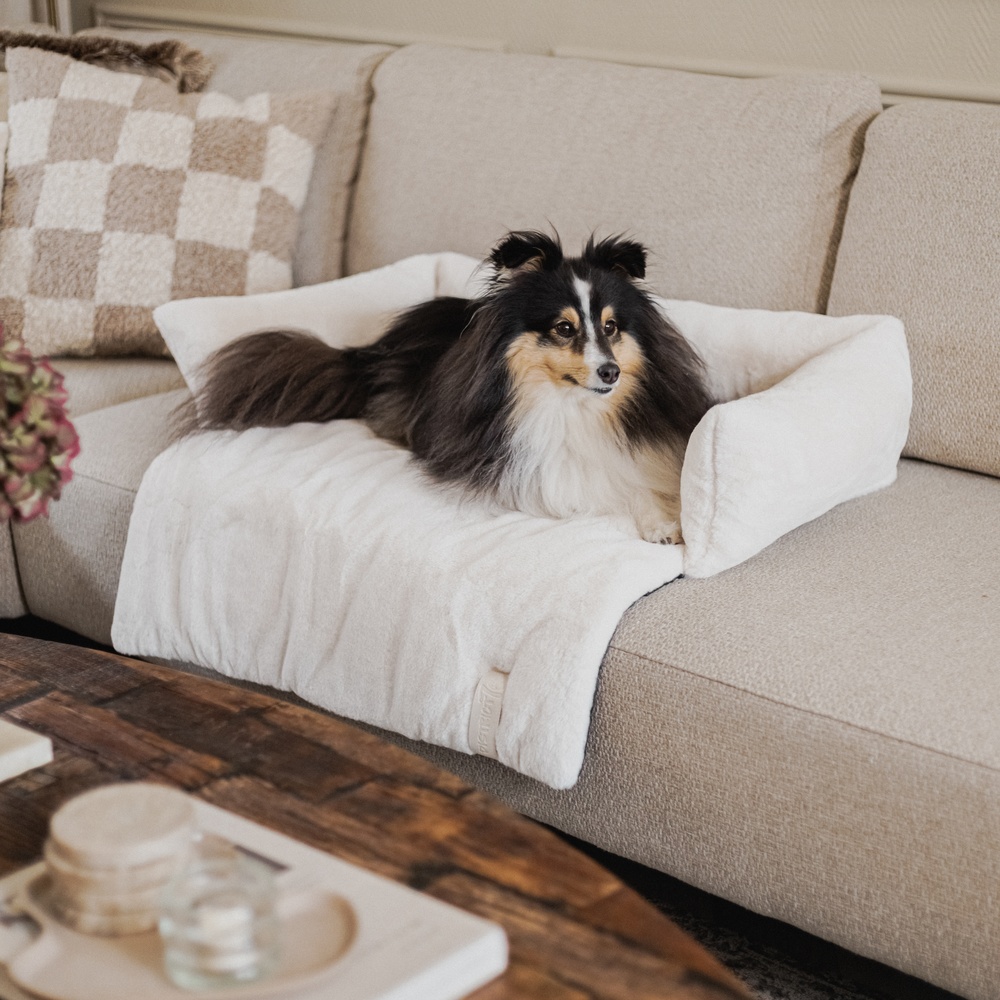 Hondendeken Bank Wit 4 Hondendeken Bank Wit - Afbeelding 4