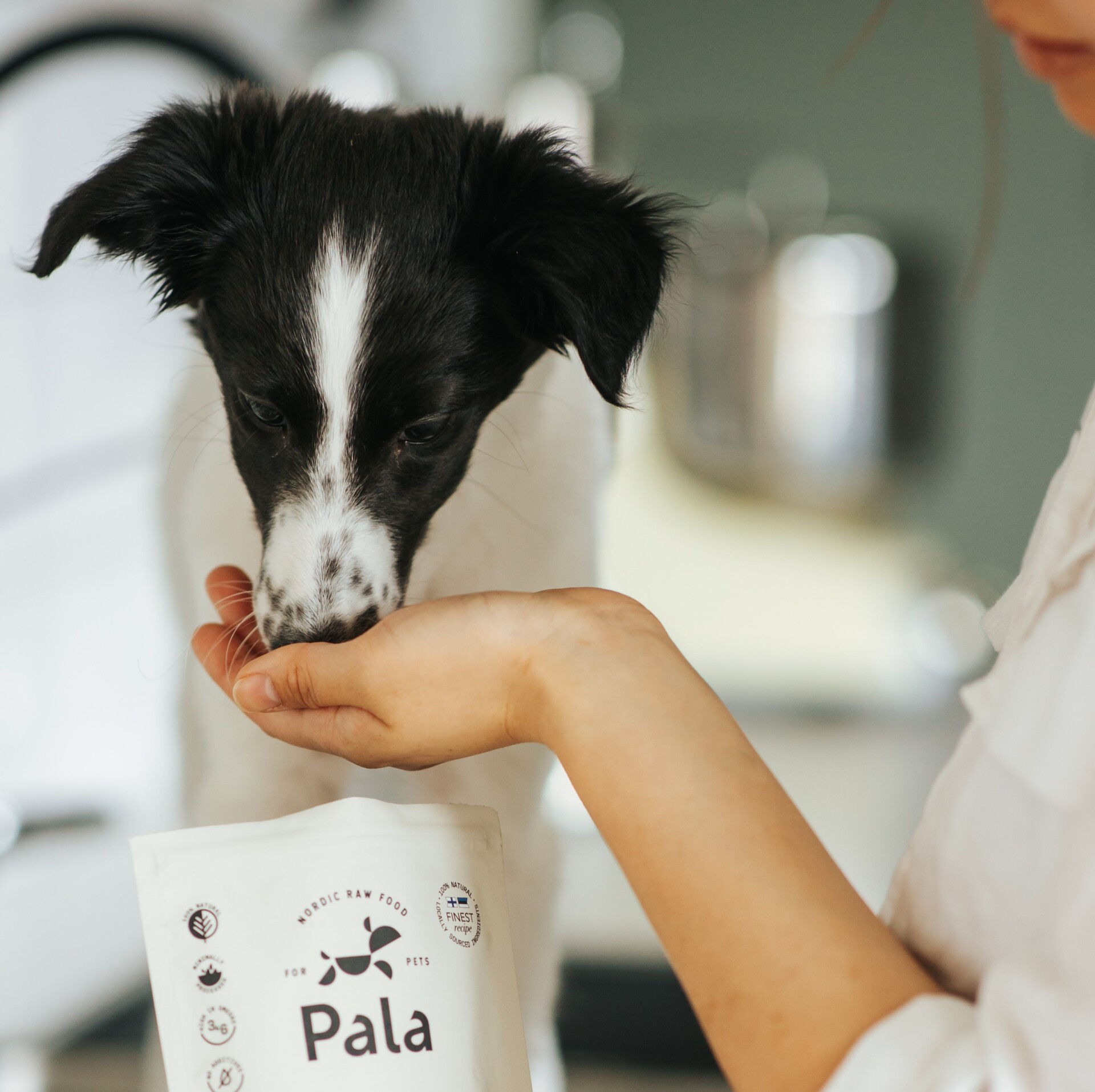 Pala - Gedroogd Vlees - Lam & Haring 12 Pala - Gedroogd Vlees - Lam & Haring - Afbeelding 12