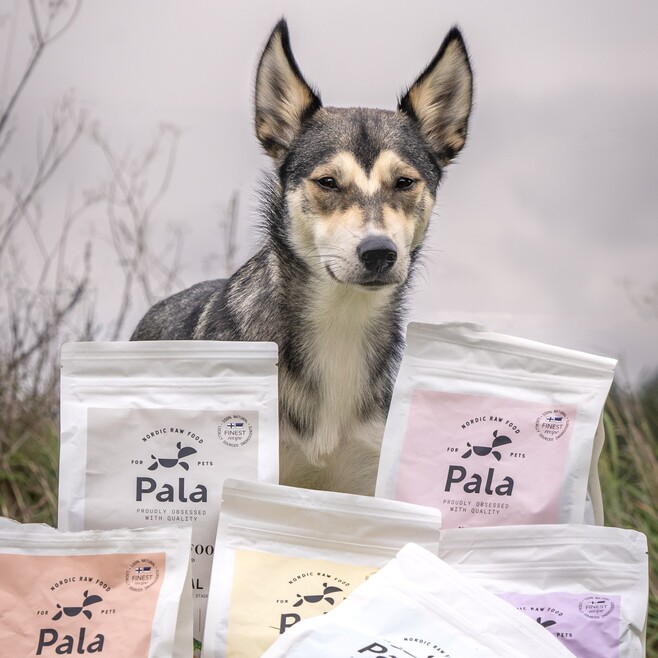 Pala - Gedroogd Vlees - Lam & Haring 10 Pala - Gedroogd Vlees - Lam & Haring - Afbeelding 10