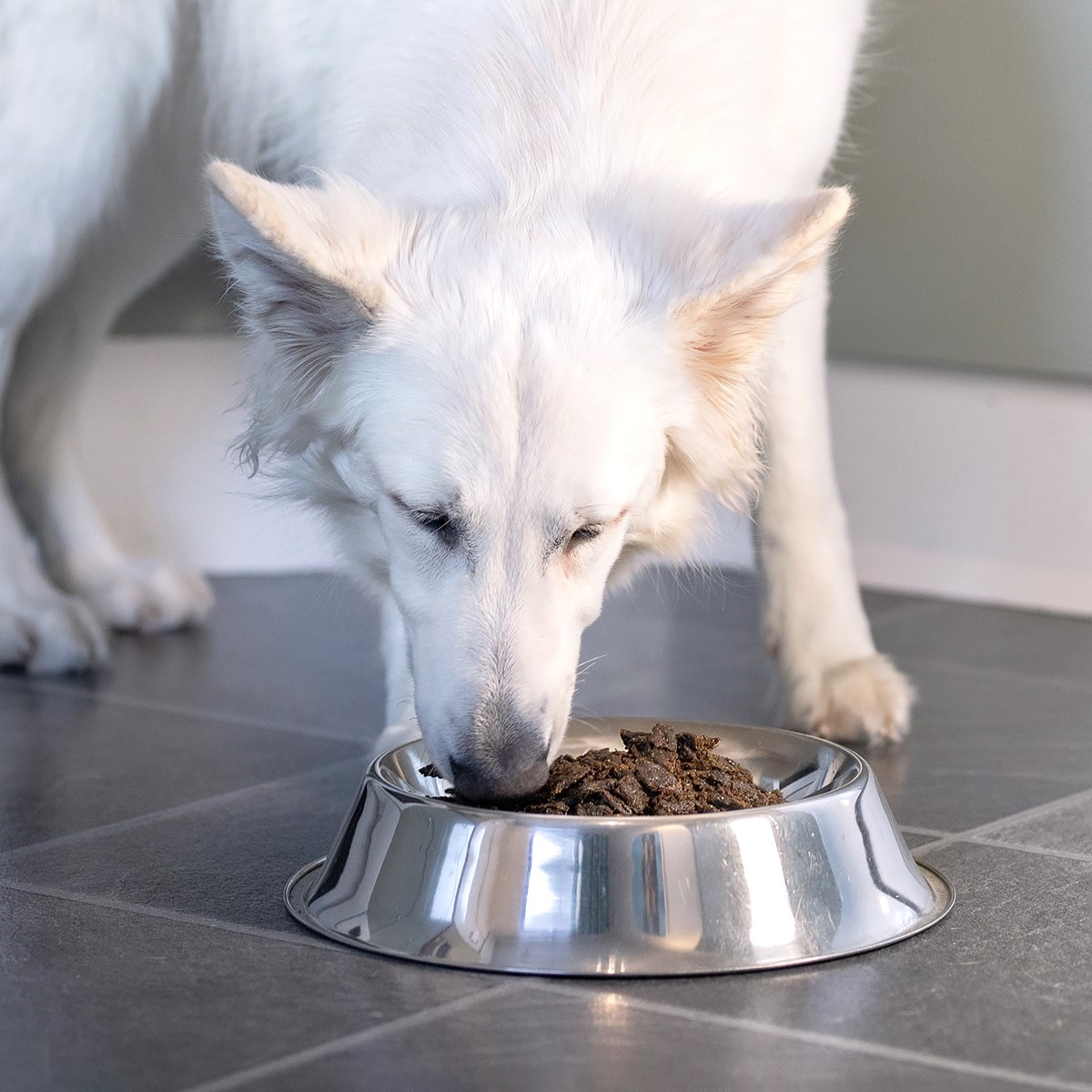 Pala - Gedroogd Vlees - Lam & Haring 3 Pala - Gedroogd Vlees - Lam & Haring - Afbeelding 3