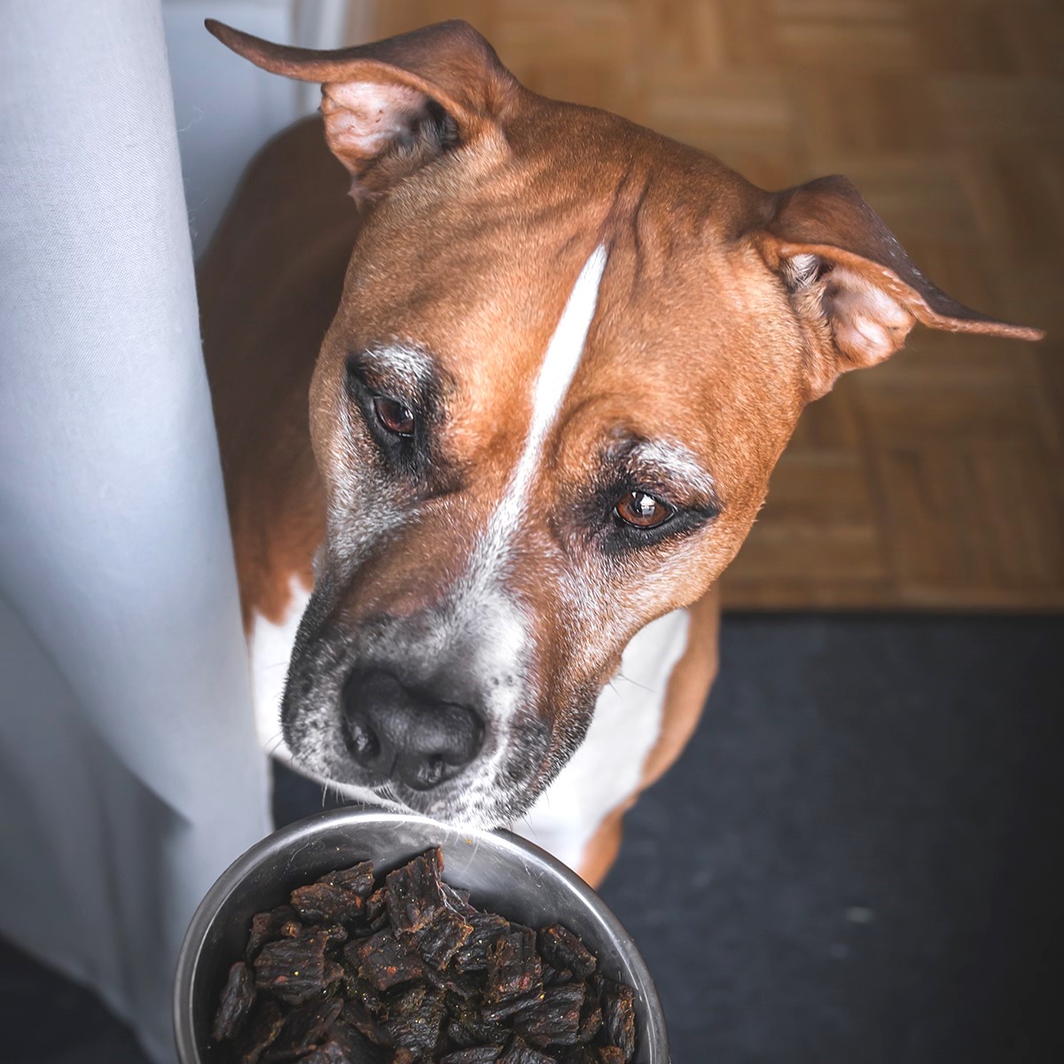 Pala - Gedroogd Vlees - Lam & Haring 6 Pala - Gedroogd Vlees - Lam & Haring - Afbeelding 6