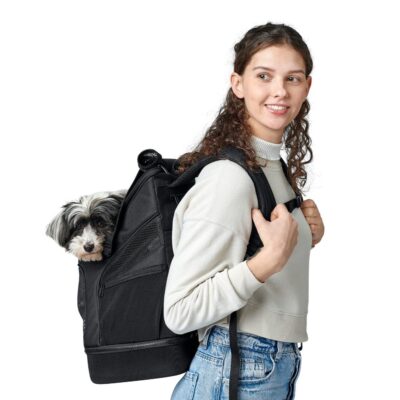 hondenrugzak en vliegtas