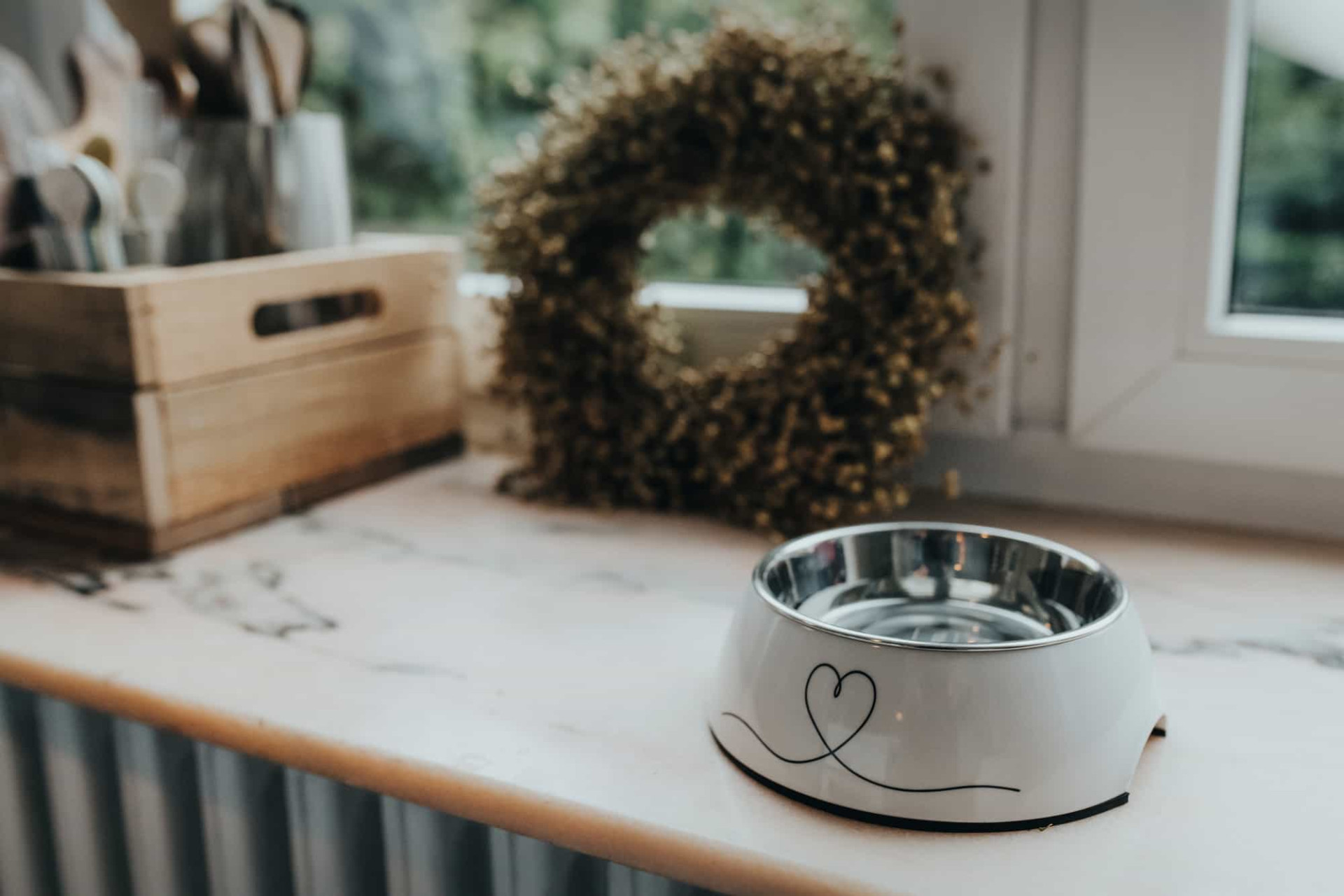 Melamine Voerbak Valencia 7 Melamine Voerbak Valencia - Afbeelding 7