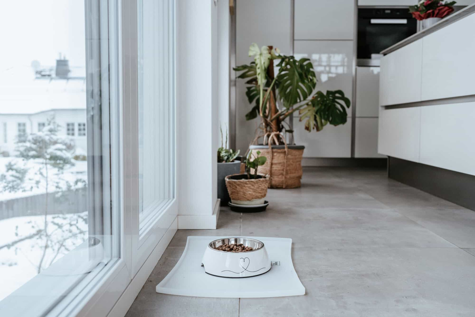 Melamine Voerbak Valencia 4 Melamine Voerbak Valencia - Afbeelding 4