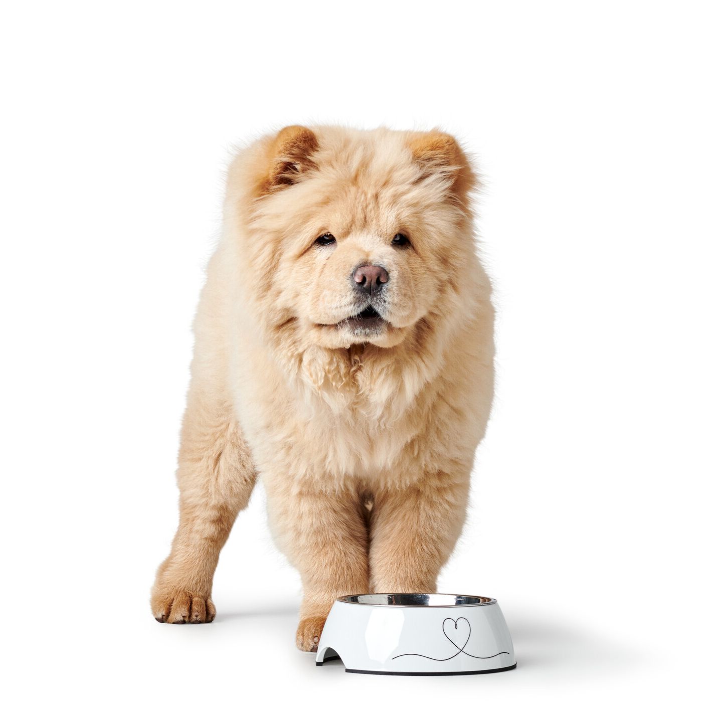 Melamine Voerbak Valencia 3 Melamine Voerbak Valencia - Afbeelding 3