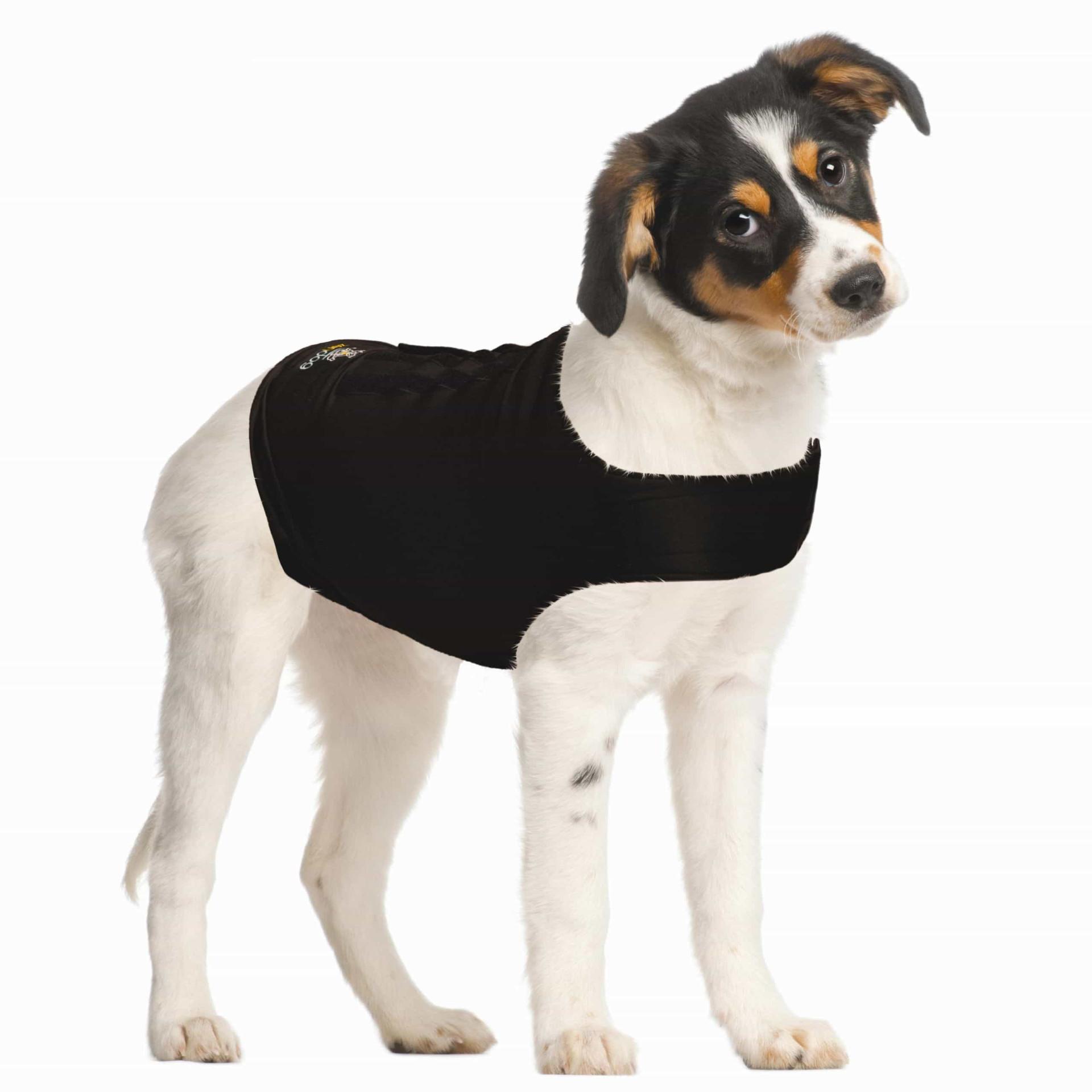 ZenDog Compressie Shirt 3 ZenDog Compressie Shirt - Afbeelding 3