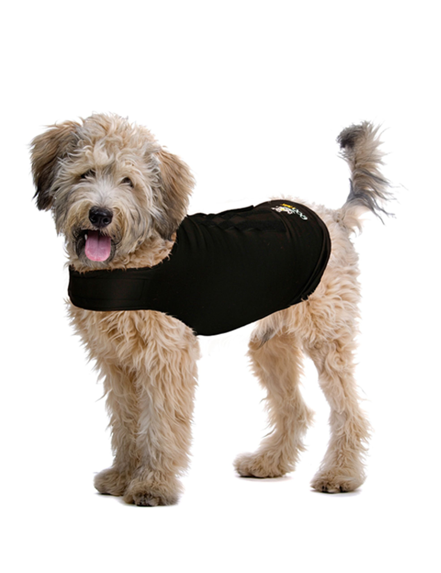 ZenDog Compressie Shirt 2 ZenDog Compressie Shirt - Afbeelding 2