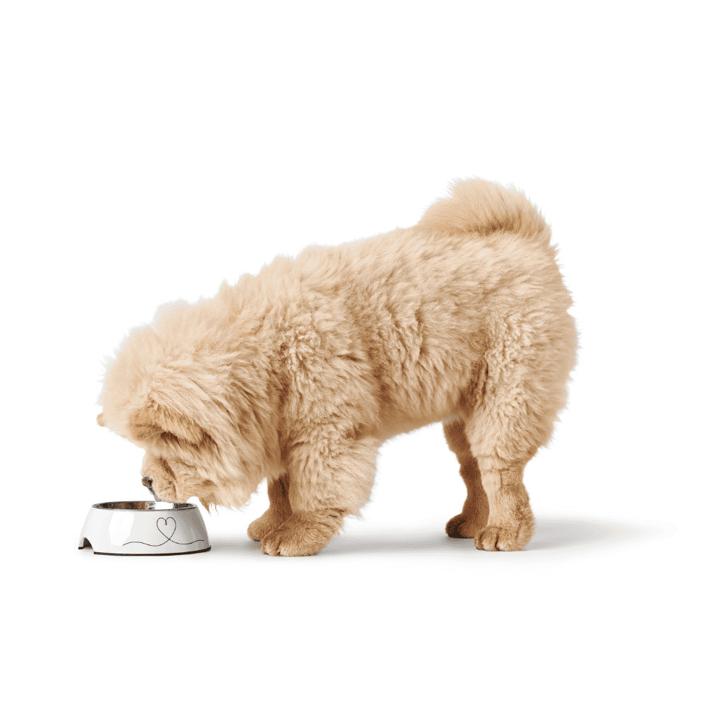 Melamine Voerbak Valencia 2 Melamine Voerbak Valencia - Afbeelding 2