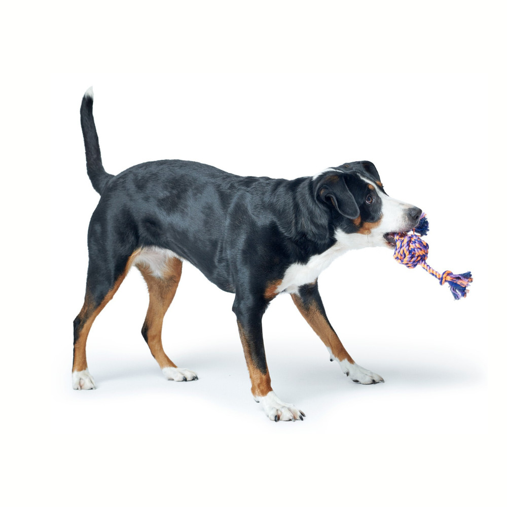 Speelbal Met Touw 2 Speelbal Met Touw - Afbeelding 2