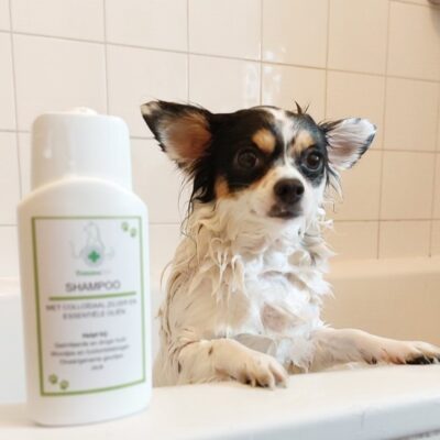 10 verse superfoods voor jouw hond 6 TraumaPet Review Shampoo met colloidaal zilver kopie