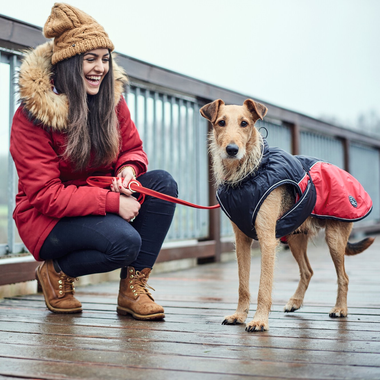 Hondenjas Antraciet/Rood 8 Hondenjas Antraciet/Rood - Afbeelding 8