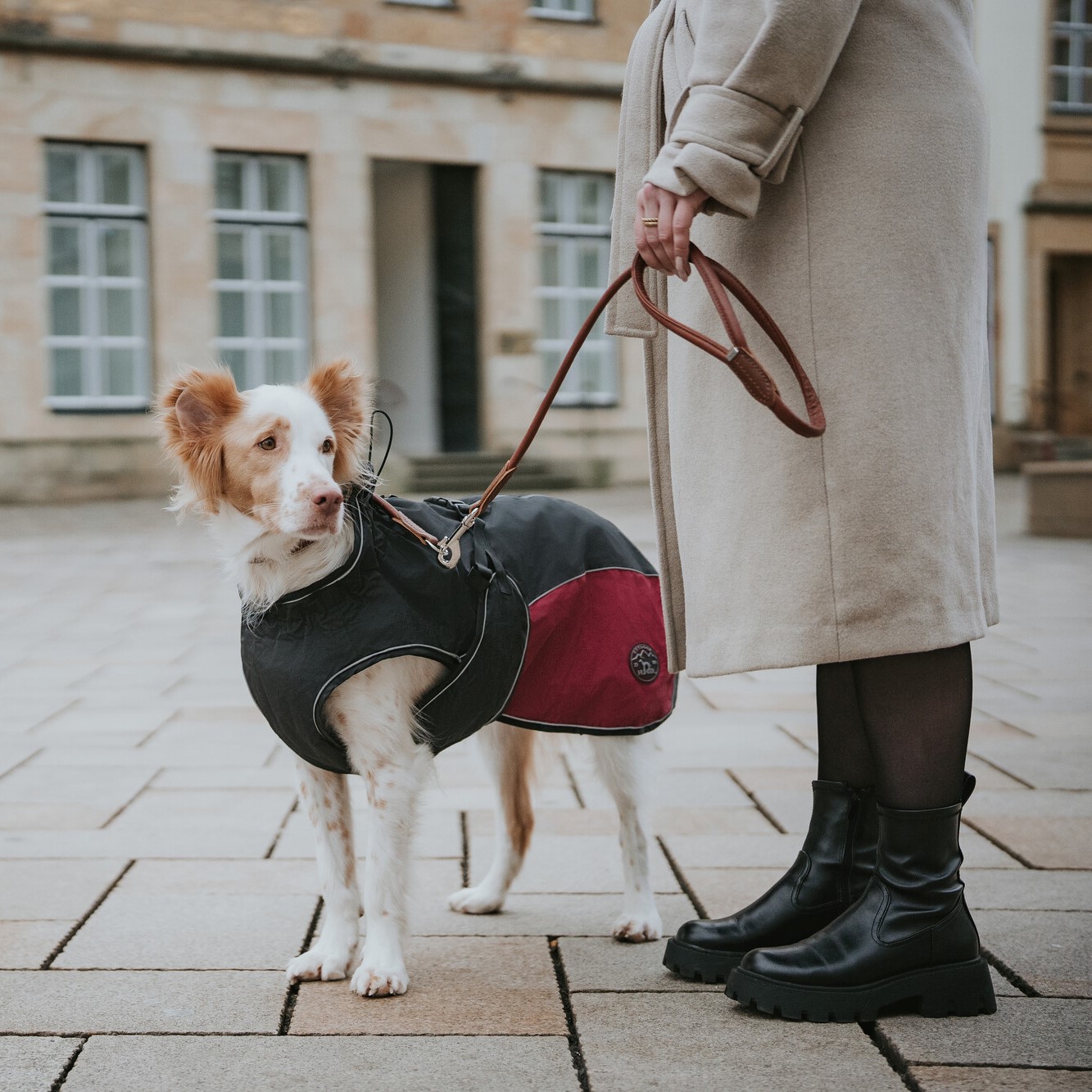 Hondenjas Antraciet/Rood 11 Hondenjas Antraciet/Rood - Afbeelding 11