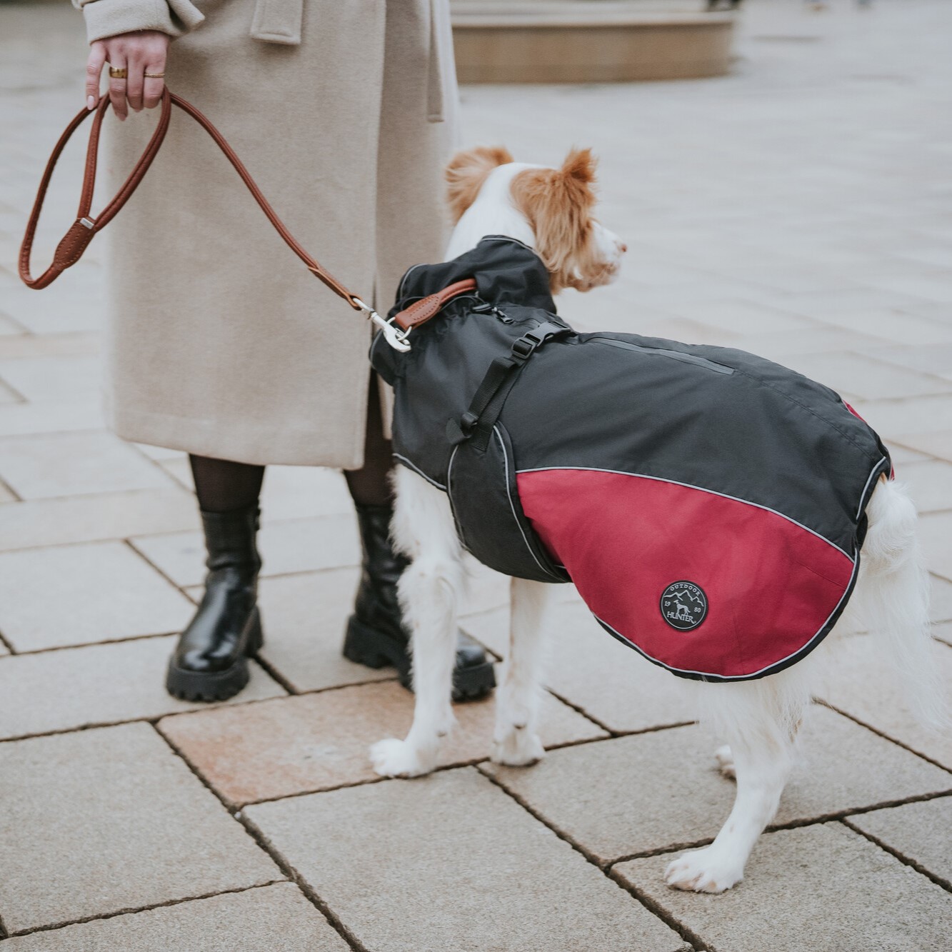 Hondenjas Antraciet/Rood 12 Hondenjas Antraciet/Rood - Afbeelding 12