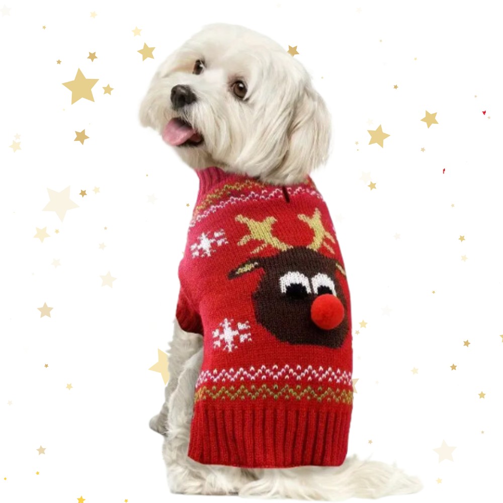 Kersttrui Hond Eland 5 Kersttrui Hond Eland - Afbeelding 5