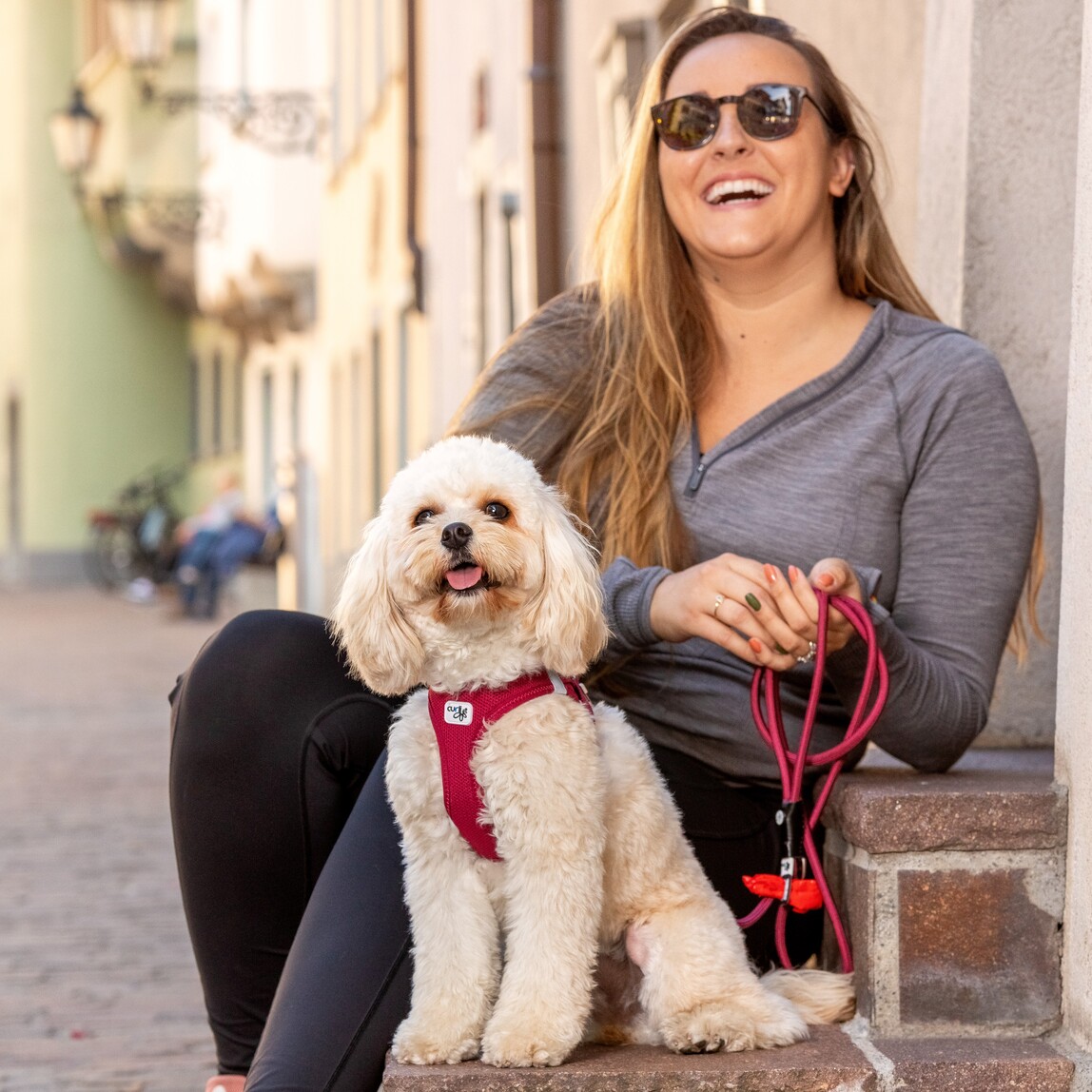 Curli Tuigje Air-Mesh Rood 7 Curli Tuigje Air-Mesh Rood - Afbeelding 7