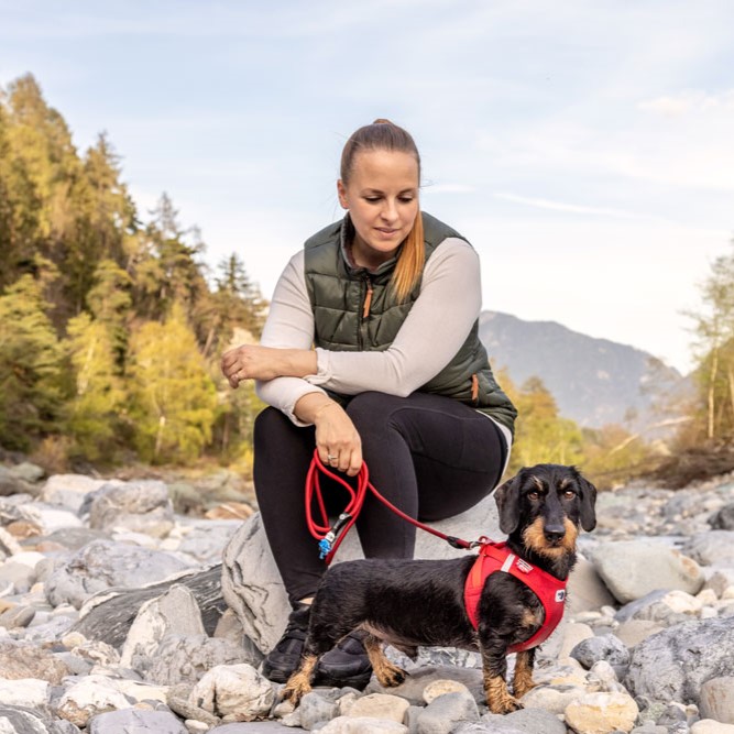 Curli Tuigje Air-Mesh Rood 6 Curli Tuigje Air-Mesh Rood - Afbeelding 6