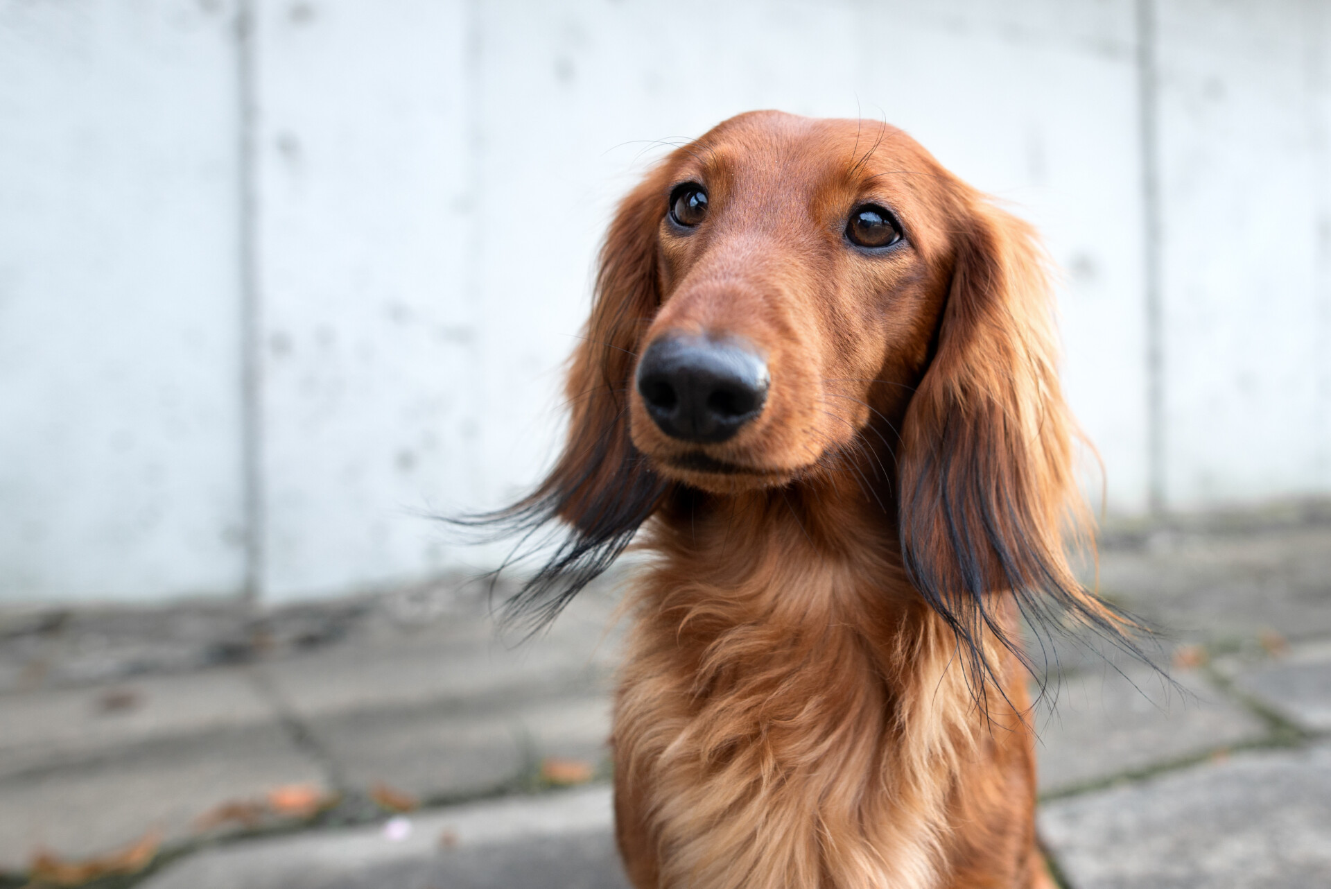 Home 37 AdobeStock 305944945