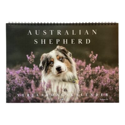 australian shepherd kalender