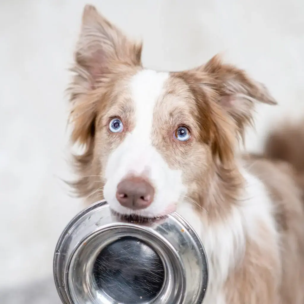 AdobeStock 408462652 kopie 1024x1024 1