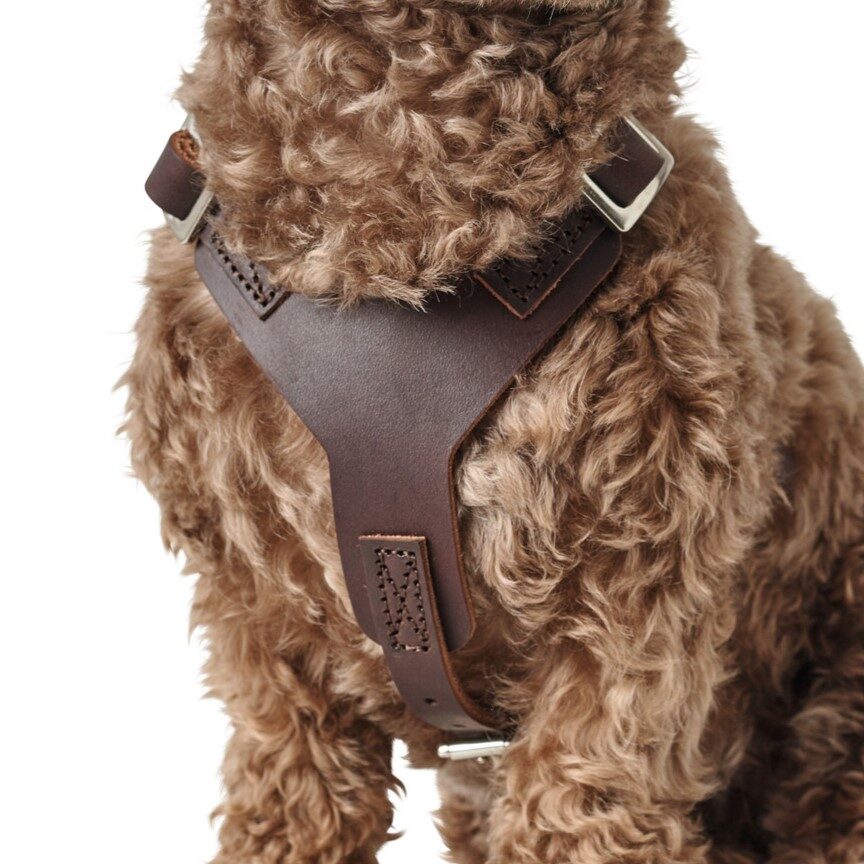 Leren Hondentuig Bruin 2 Leren Hondentuig Bruin - Afbeelding 2