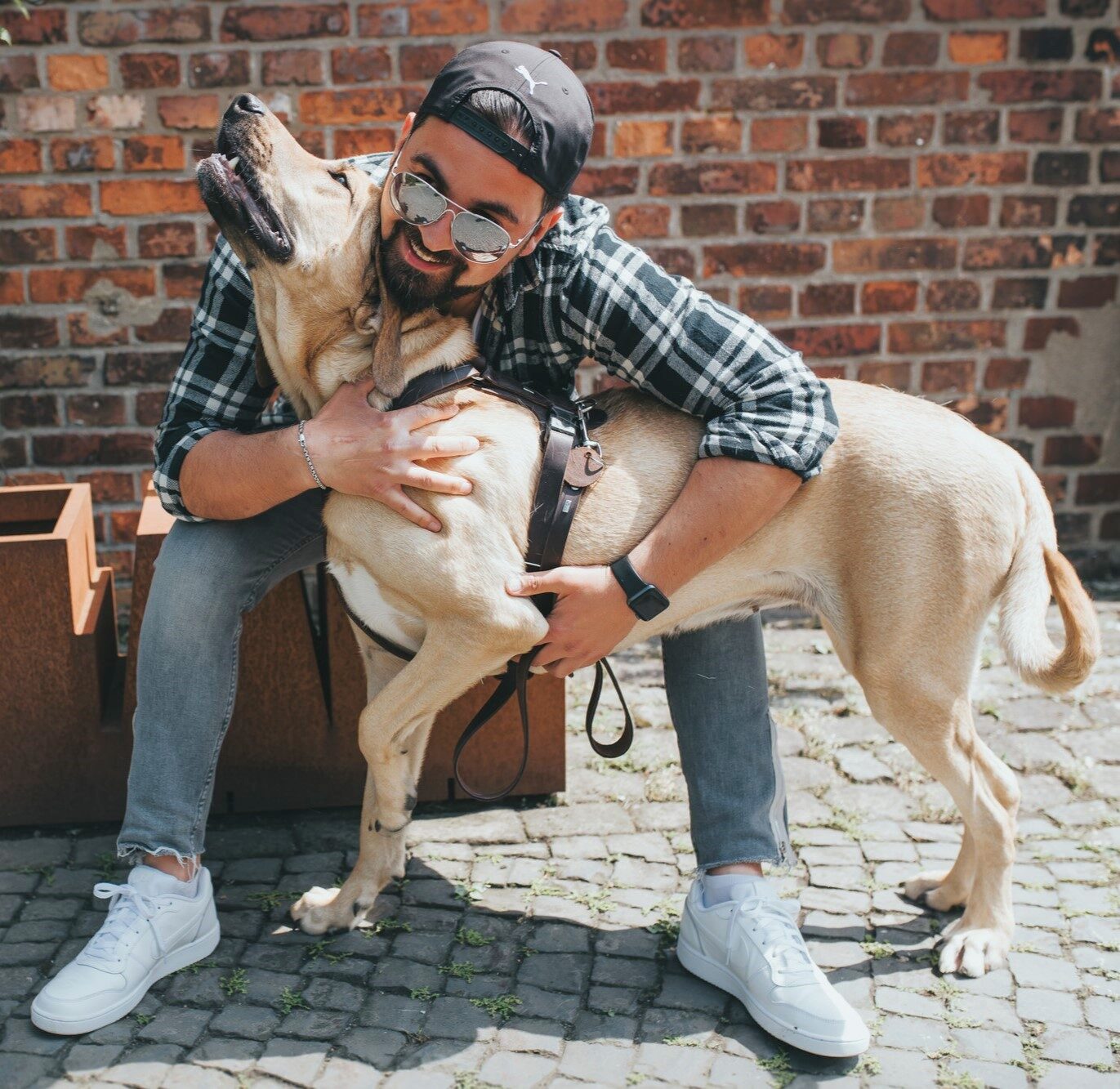 Leren Hondentuig Bruin 3 Leren Hondentuig Bruin - Afbeelding 3