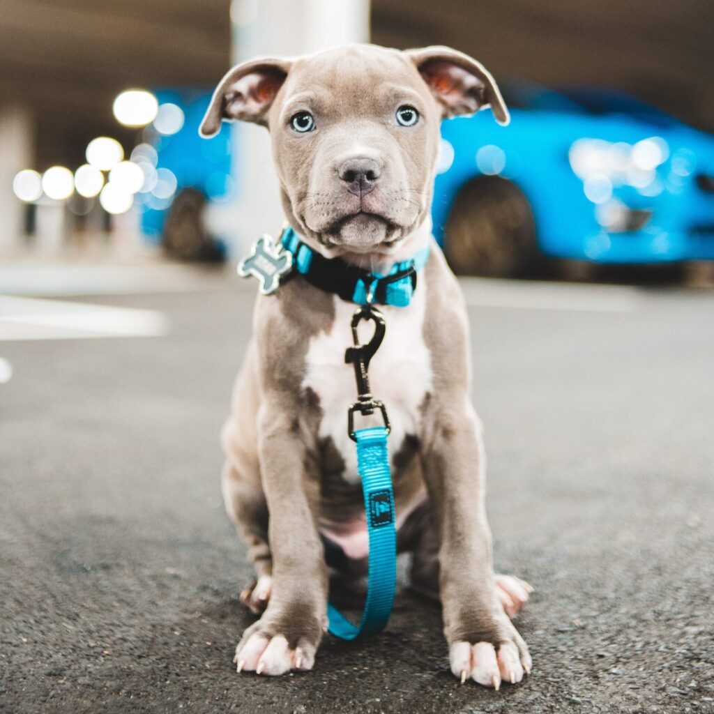 erik mclean QW ZGT72D6g unsplash kopie