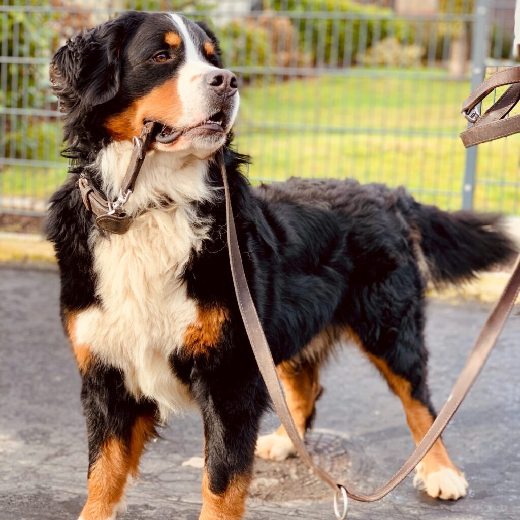 hamza gharnati 9S4GyfpxnTI unsplash kopie