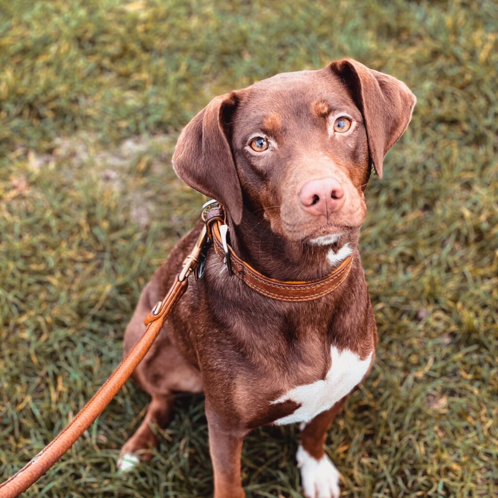 jennifer latuperisa andresen Rijz BjOSKA unsplash kopie