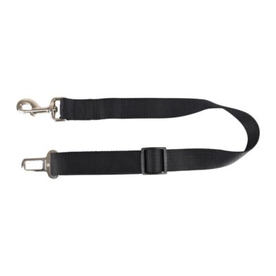 autogordel hond zwart