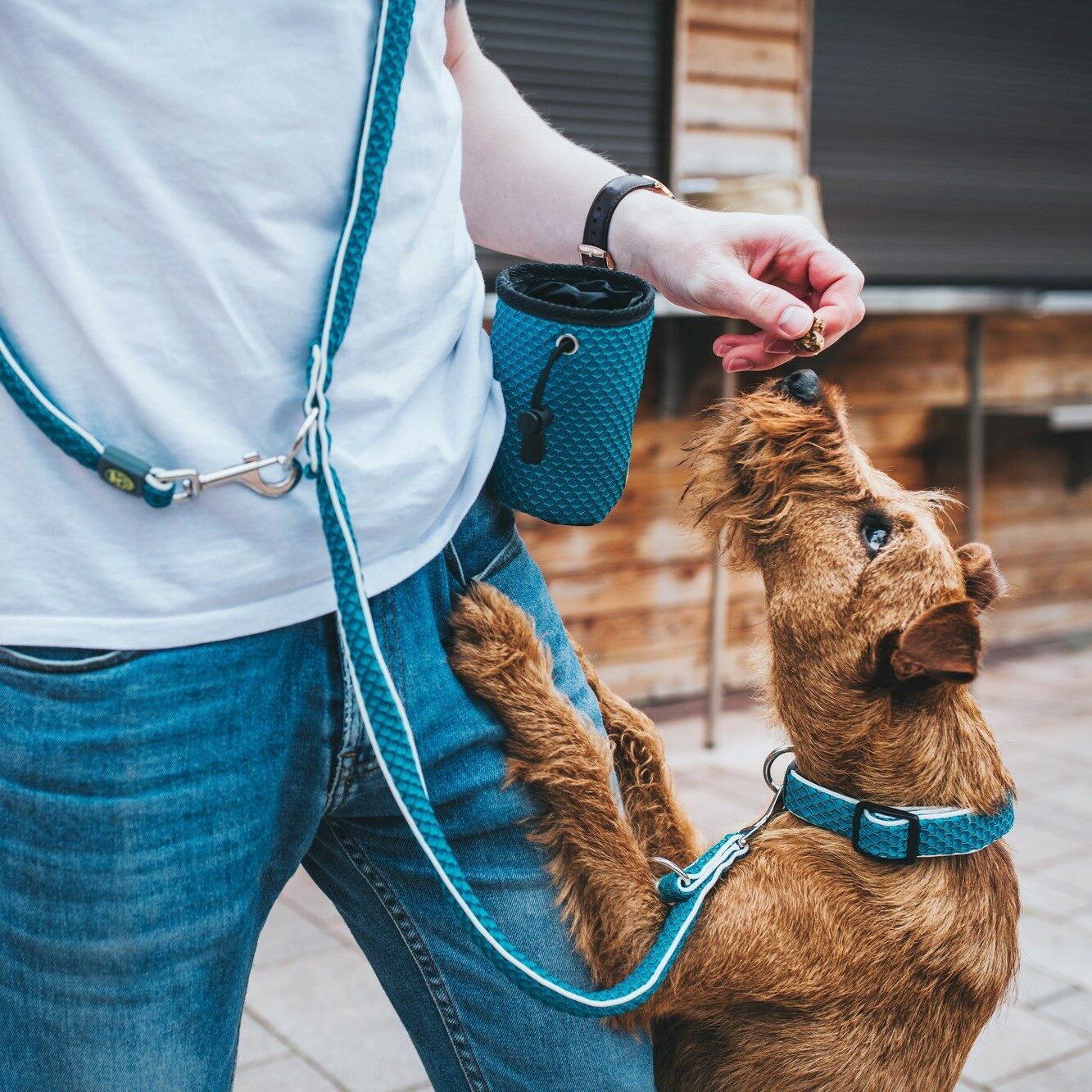 Beloningstas Hilo Turquoise 5 Beloningstas Hilo Turquoise - Afbeelding 5