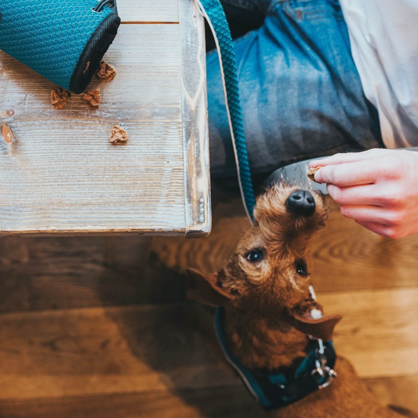 Beloningstas Hilo Turquoise 4 Beloningstas Hilo Turquoise - Afbeelding 4