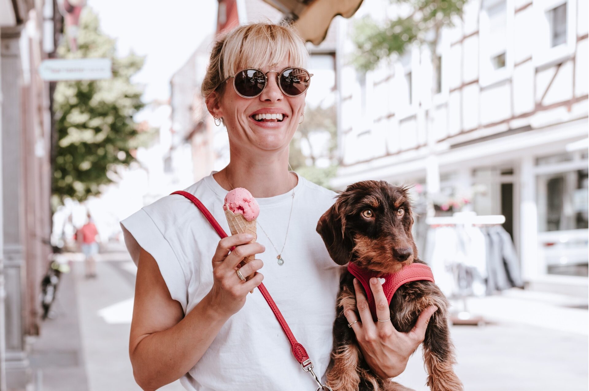 Home 39 hondenijsjes maken