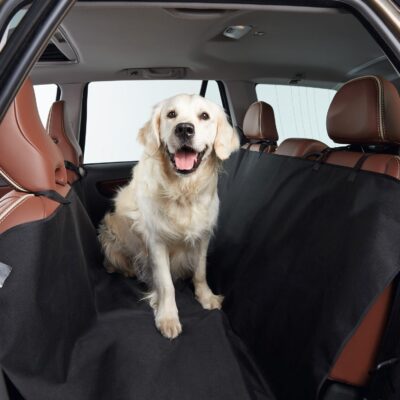 hondendeken auto