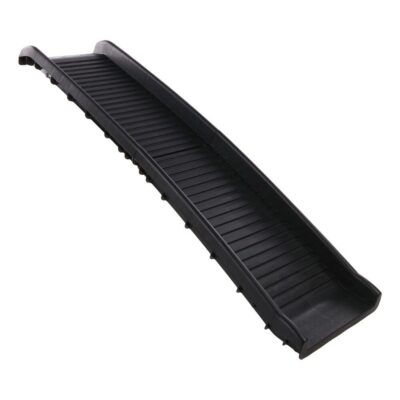 10 verse superfoods voor jouw hond 3 loopplank voor honden