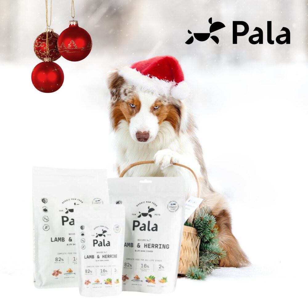 Pala - Gedroogd Vlees - Lam & Haring 1 Pala - Gedroogd Vlees - Lam & Haring