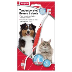 Tandenborstel hond