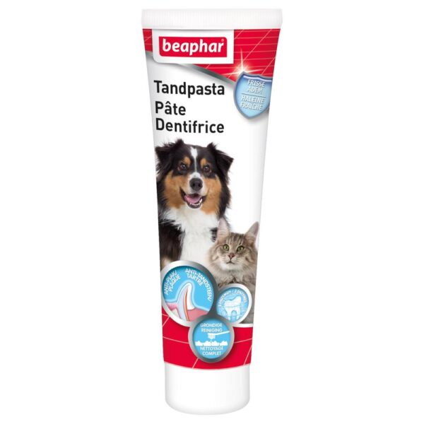 Tandpasta hond Beaphar