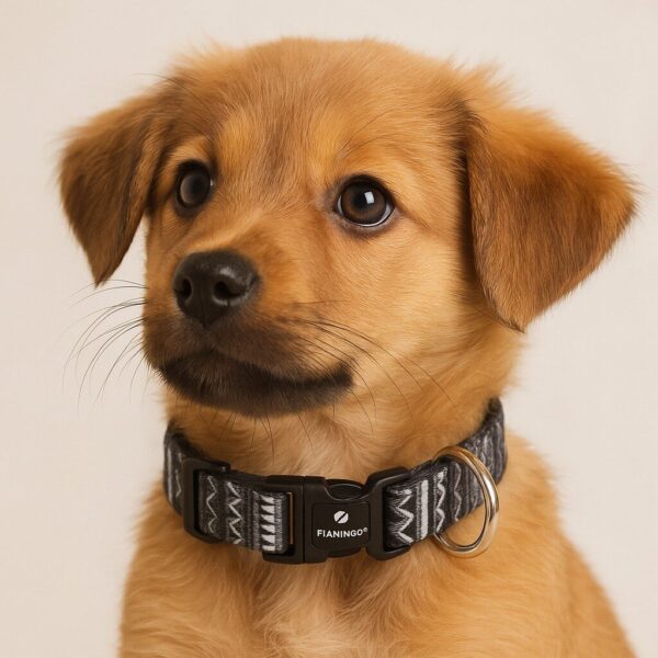 Puppy Halsband Zwart