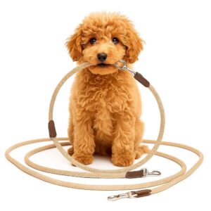 Handsfree Hondenriem Beige
