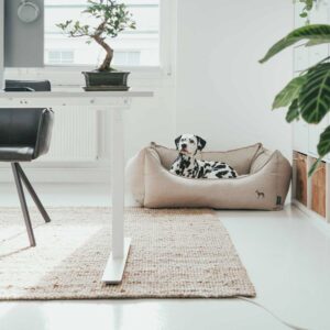 Hondenmand Londen Beige