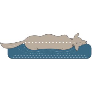 Orthopedische Hondenmat Sydney