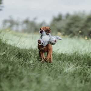Hondenknuffel Bello