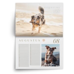 Verjaardagskalender Australian Shepherd